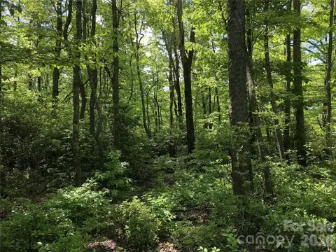 Residential Land in Hendersonville, NC