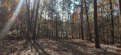 Lake Wylie Waterfront Land Opportunity