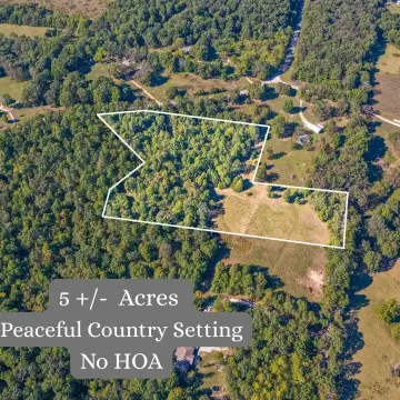 Wooded And Open Land