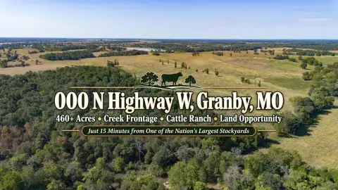 Working Cattle Ranch