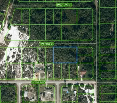 Residential Land in Lake Placid