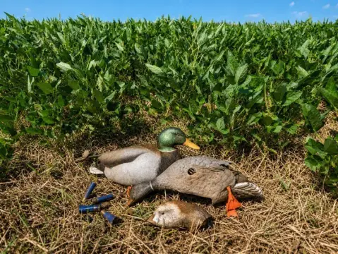 Irrigated Farm With Waterfowl Habitat