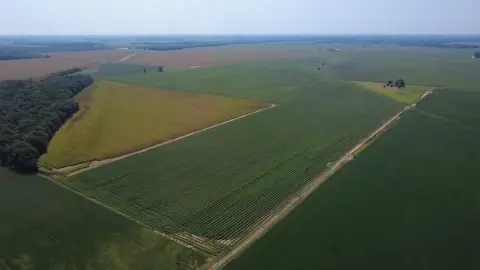 Irrigated Delta Farm