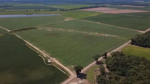 Irrigated Farm