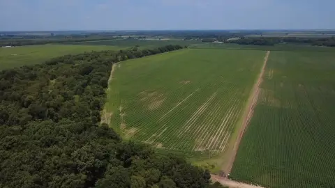 Irrigated Delta Farm