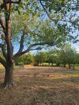 Residential Lot in Pauls Valley