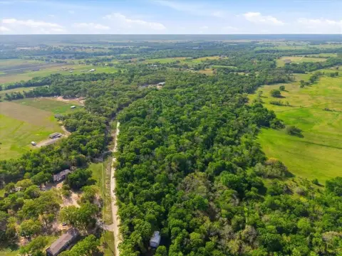 Land For Sale in Wills