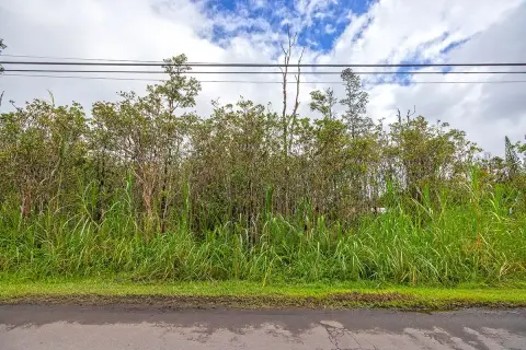 Wooded Land Parcel