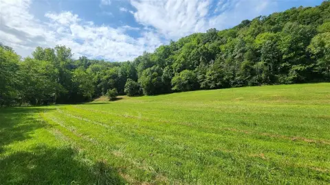 Farmland with Creek Frontage