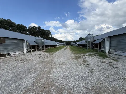 Poultry and Livestock Farm
