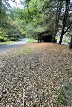 Centerville Buildable Lot Opportunity