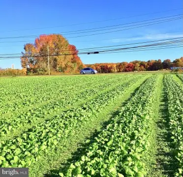 Farmland with Greenhouses and Building
