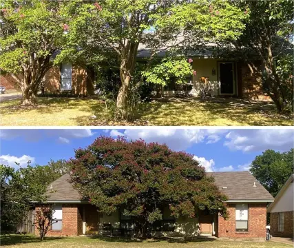 Two-Duplex Residential Property