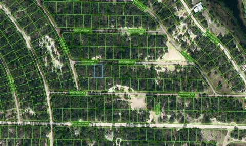 Land in Lake Placid, FL