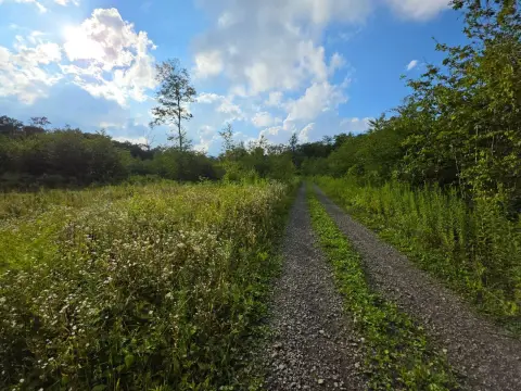 Open Hilltop Hunting Land