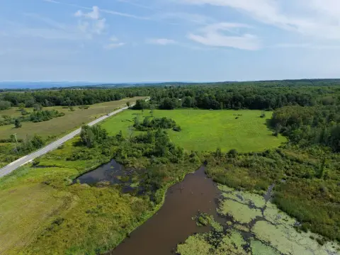 Agricultural Land with Water Features