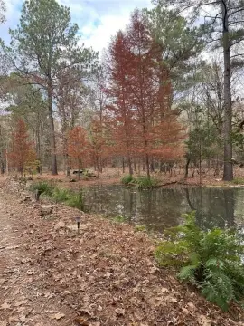 Land with Pond near Lake