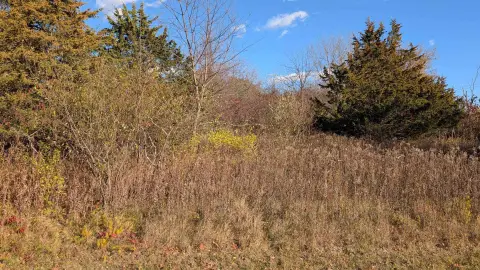 Wooded Lot Near Lake Puckaway