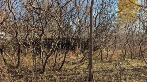 Wooded Lot Near Lake Puckaway
