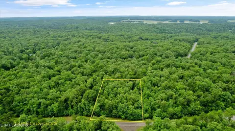 Wooded Lot in Cumberland Lakes