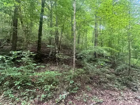 Tennessee Land Near Dale Hollow