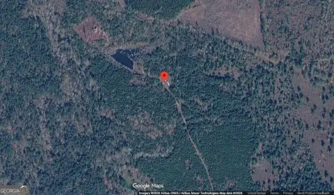 10 Acres Wooded Hunting Land