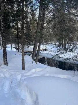 Scenic Building Lot with Creek