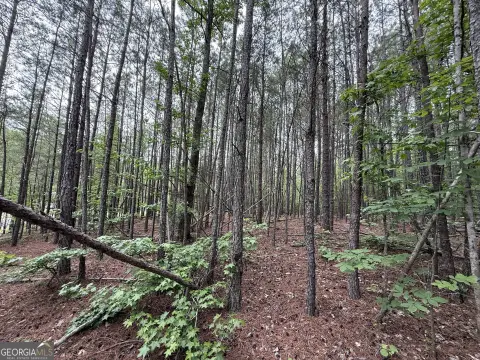 Residential Land in Rome, GA