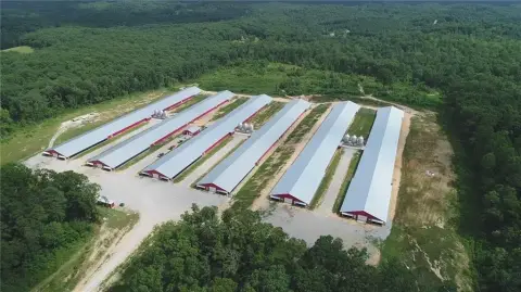 Northwest Georgia Poultry Farm