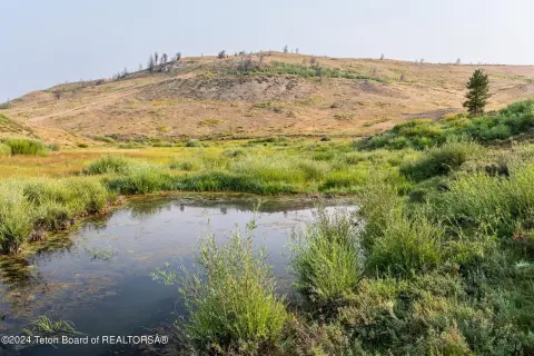 Conservation-Easement Home Site Land