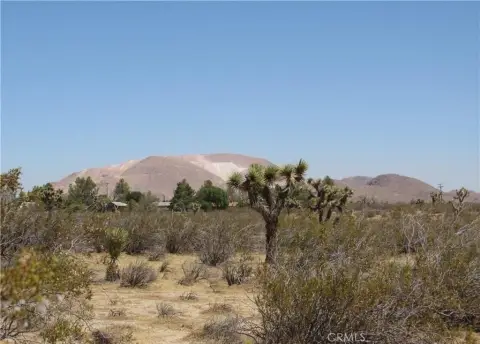 Mojave Land For Sale
