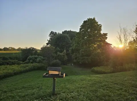 Buildable Residential Land Parcel