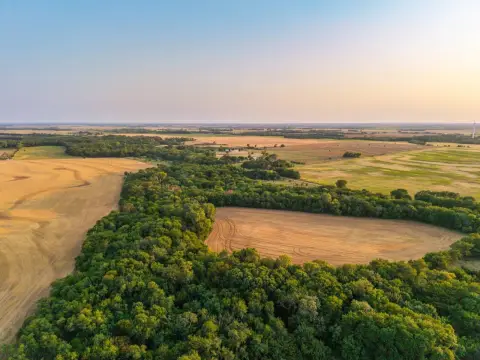 Farm with Tillable Ground and Creek