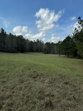 87.14 Acres Hunting/Recreational Land