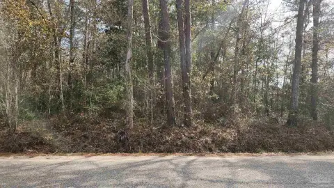 Milton, FL Wooded Lot