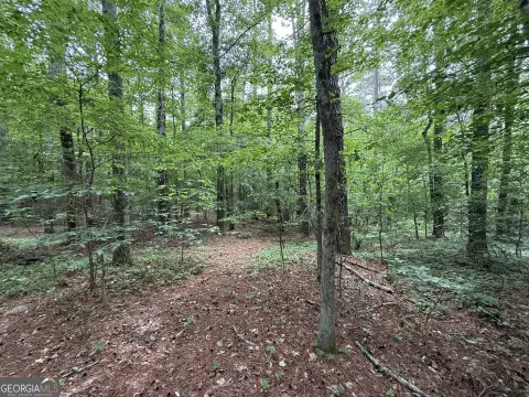 Residential Land in Rome, GA