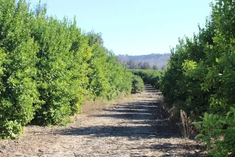 Lemon Grove Ranch Opportunity