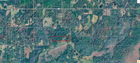 Private Hunting Land with Camper
