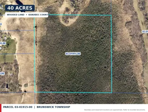 Undeveloped Land with Bog