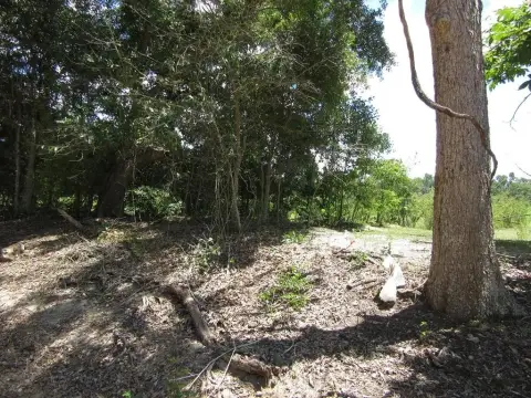 Residential Land in Ashford, Alabama