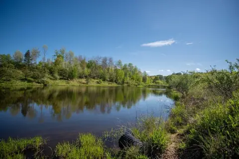 Secluded Land with Ponds