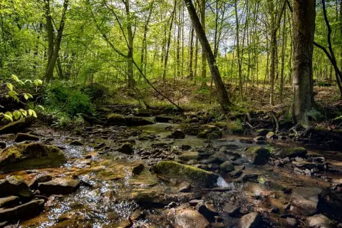 105+ Acres Vacant Land