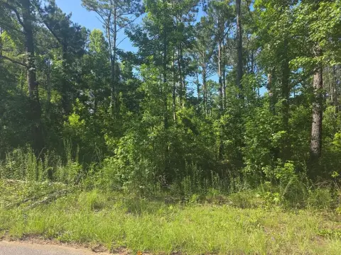 Georgetown, GA Land For Sale
