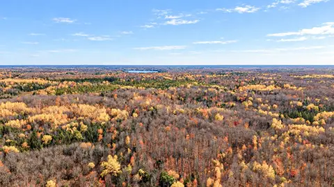 Wooded Hunting Land