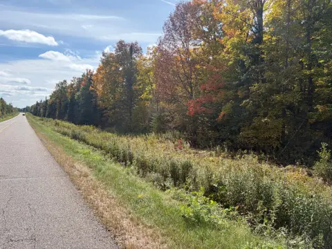 Forestland with Diverse Cover