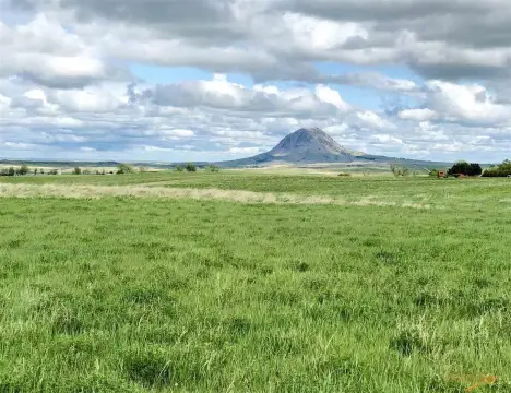 Land with Bear Butte Views