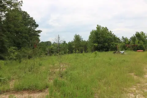 Newton, TX Land For Sale