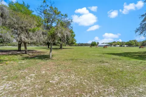 EUSTIS, FL - 10 Acre Pasture