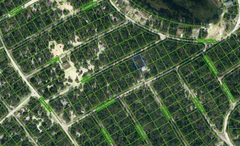 Land For Sale Lake Placid