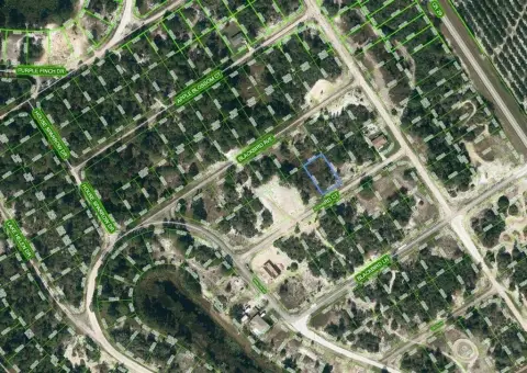 Land in Lake Placid, FL